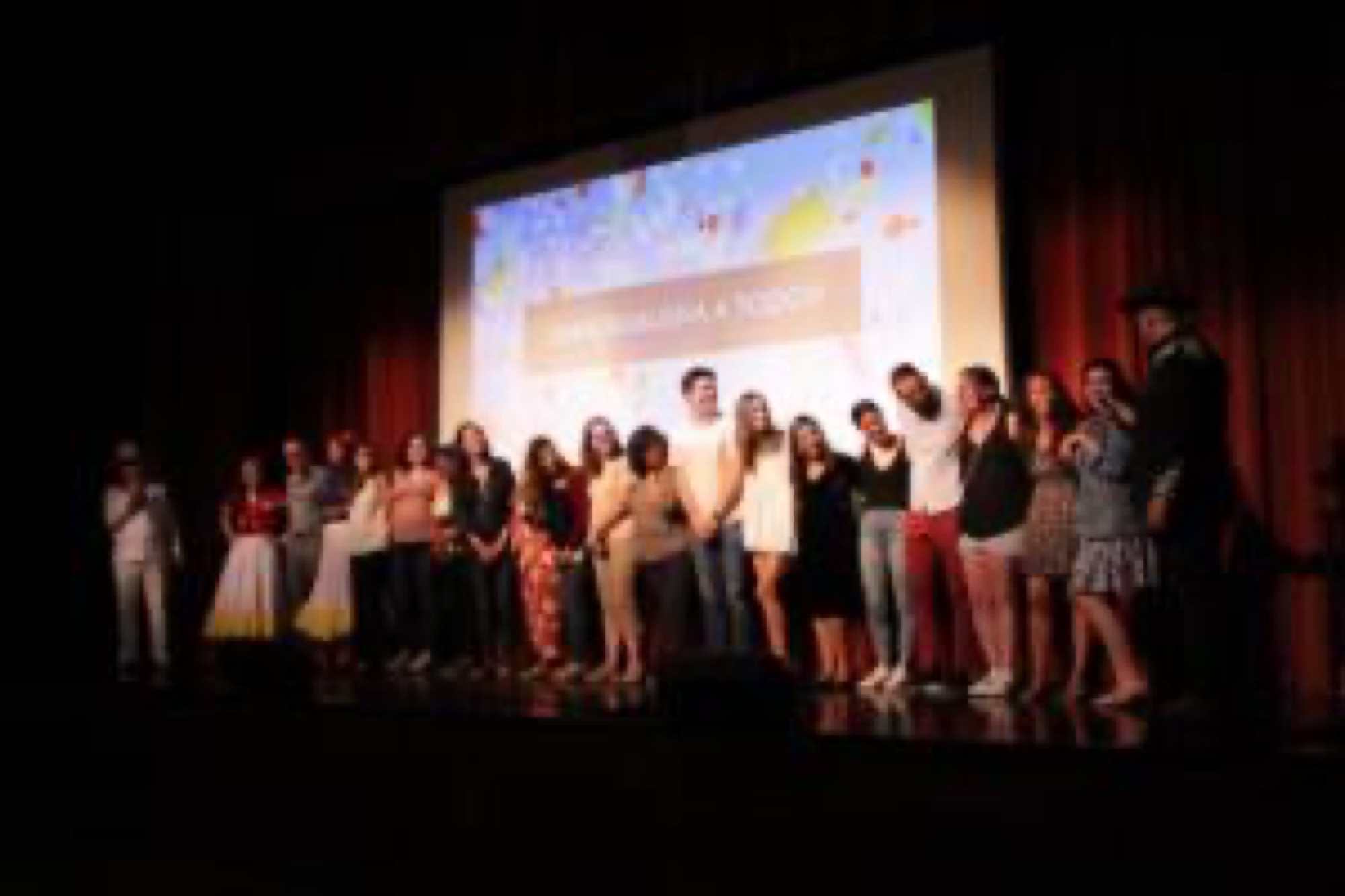 IMG 4379