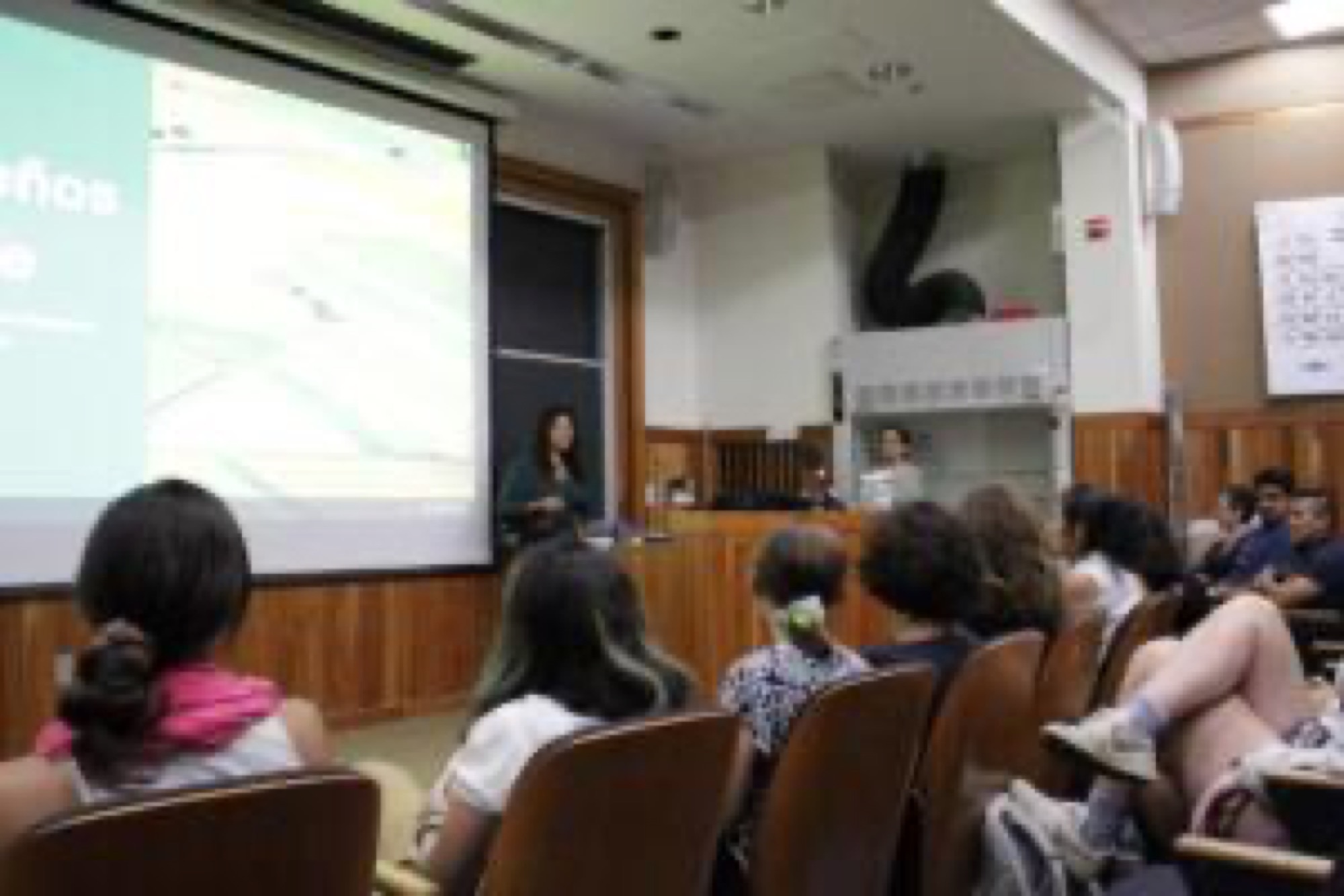 IMG 4661